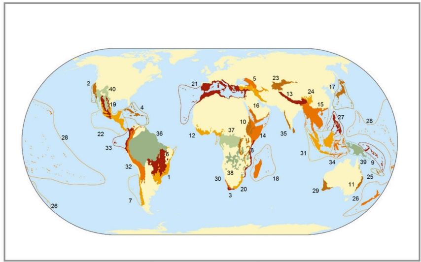 Global Biological Diversity